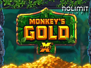 Monkeys Gold Xpays game cover